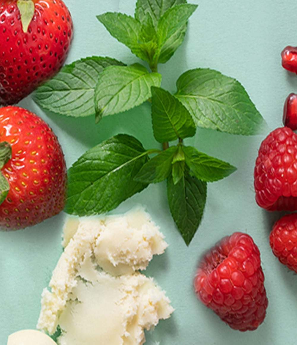 100% Natural & Organic 4-Pack Lip Balm